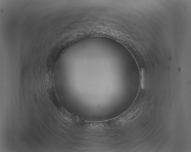 X0000051241491200506241508