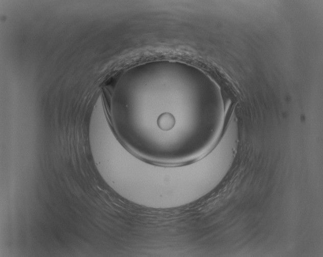 X0000051241492200506241508