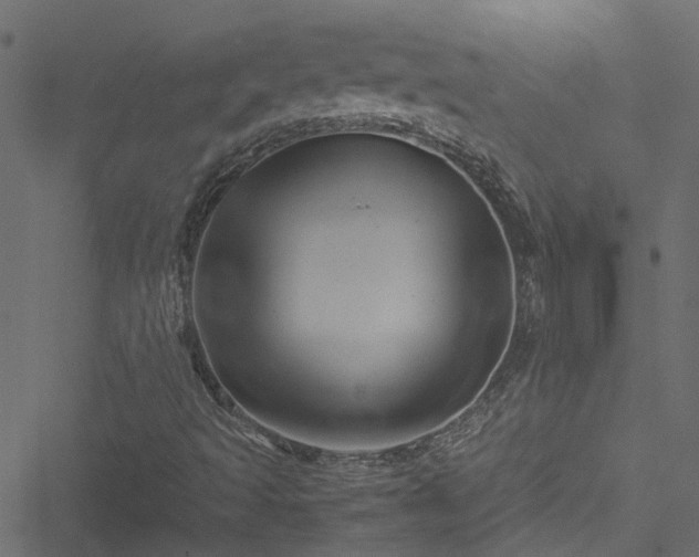 X0000051241493200506241508