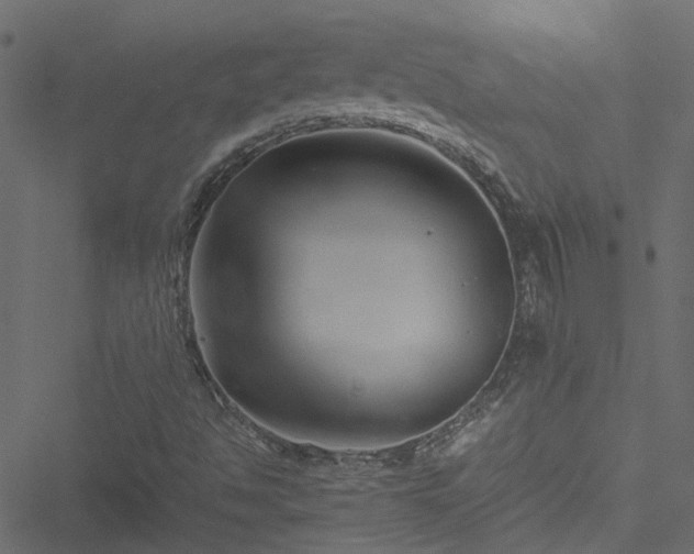 X0000051241494200506241508