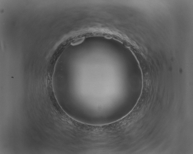 X0000051241495200506241508