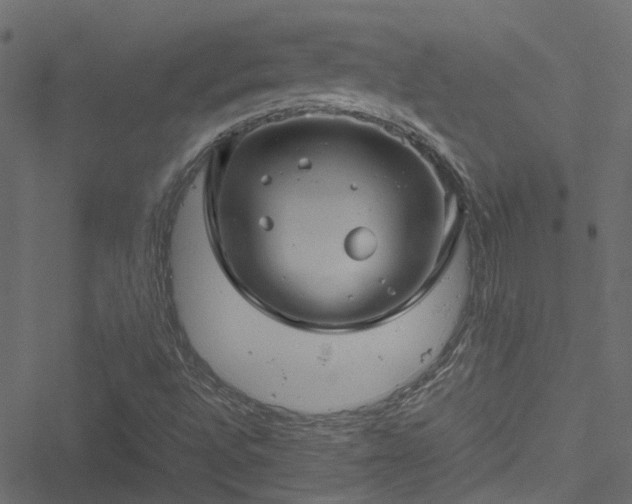 X0000051241496200506241508