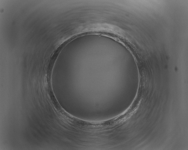 X0000051241497200506241508