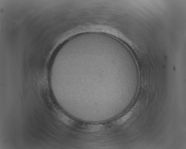 X0000051241498200506241508