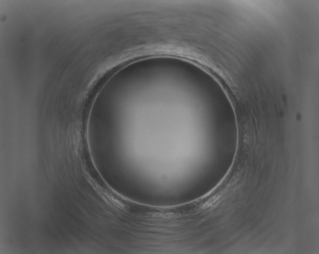 X0000051241499200506241508