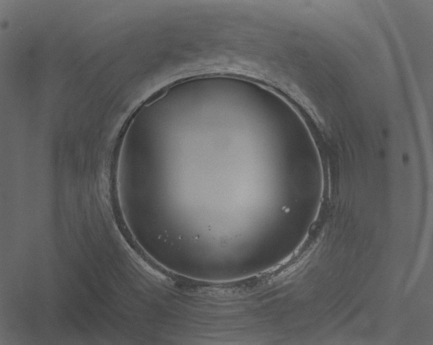 X0000051241500200506241508