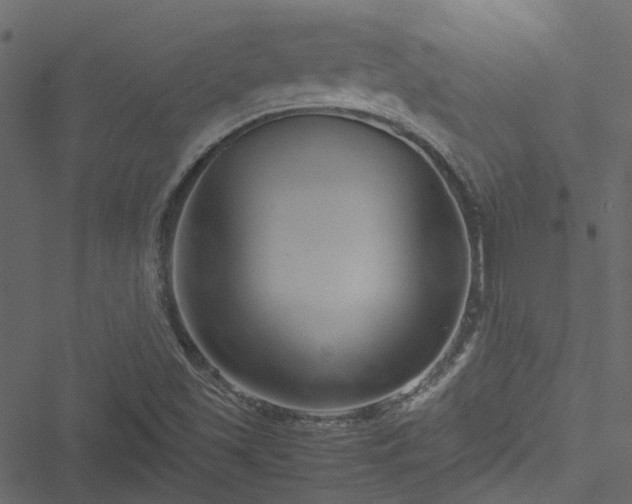 X0000051241501200506241508