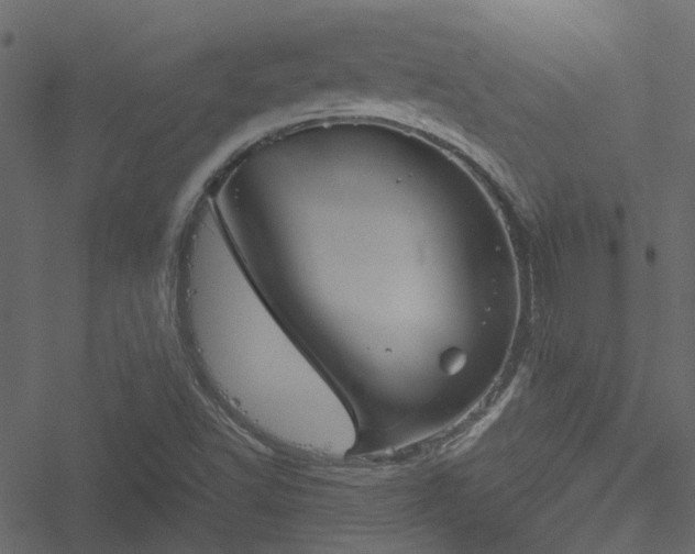 X0000051241502200506241508