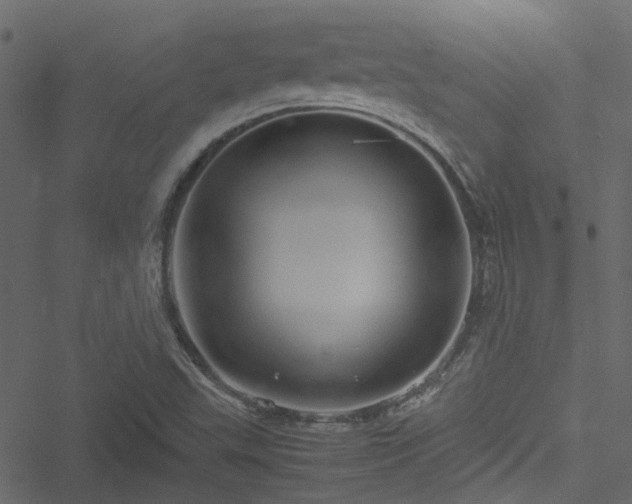 X0000051241503200506241508