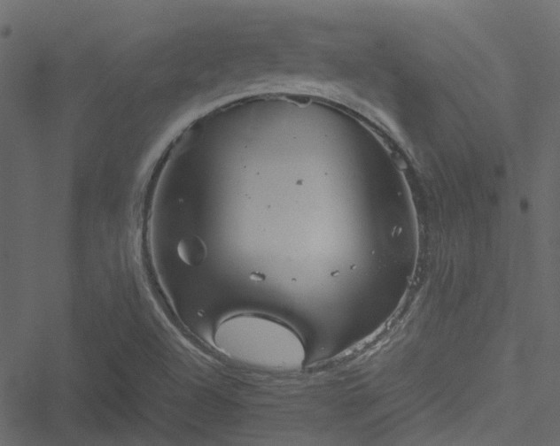 X0000051241504200506241508