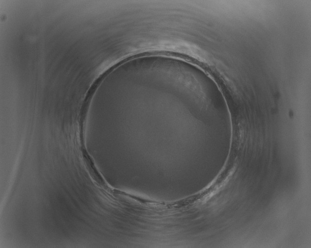 X0000051241505200506241508