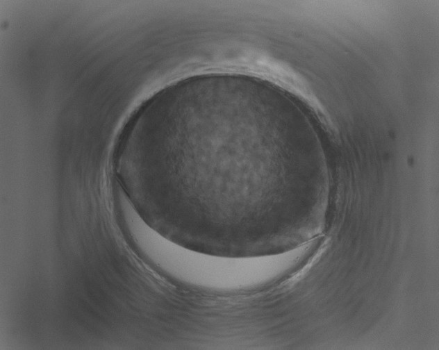 X0000051241506200506241508