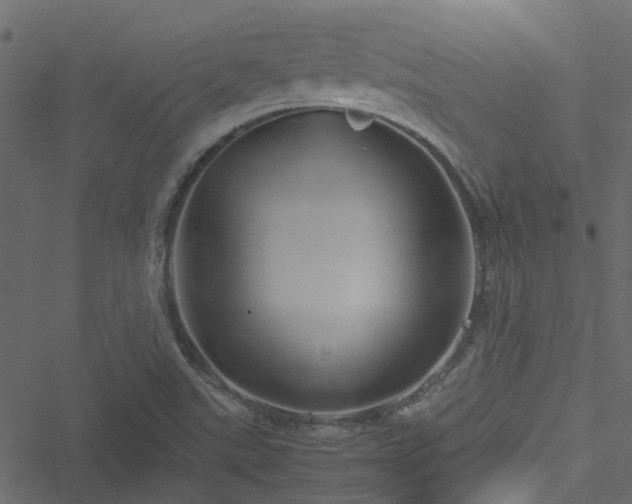 X0000051241507200506241508