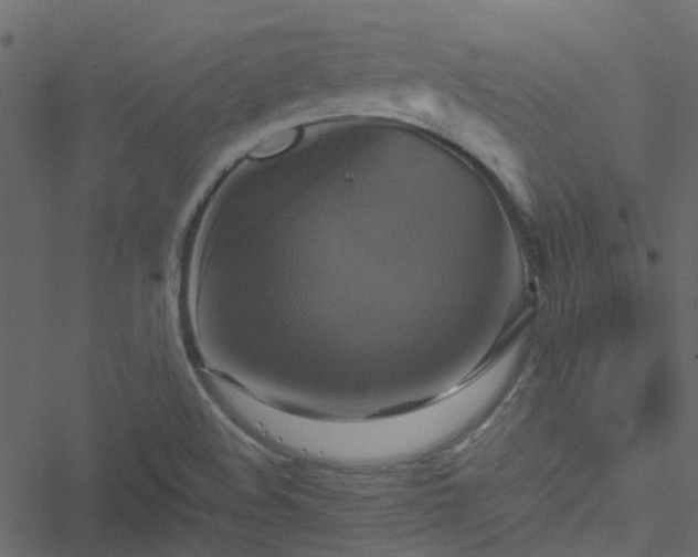 X0000051241508200506241508