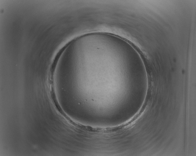 X0000051241510200506241508