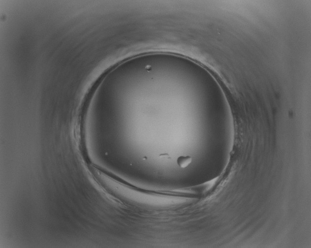 X0000051241511200506241508