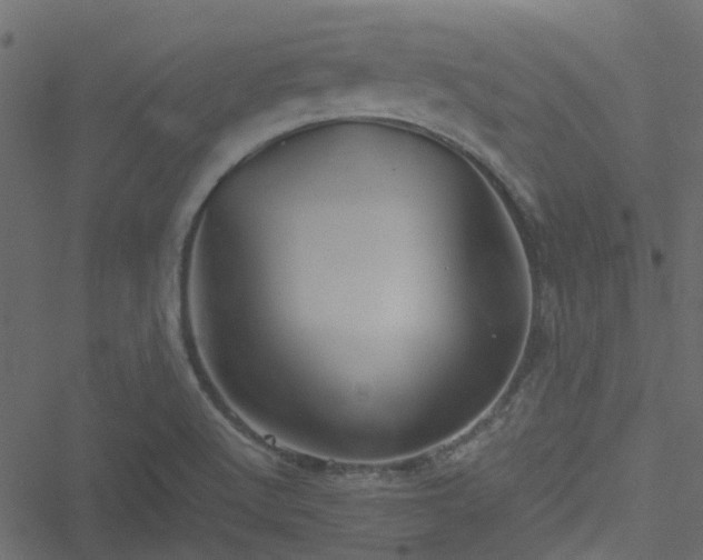 X0000051241512200506241508