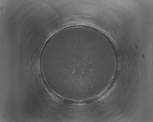 X0000051241513200506241508