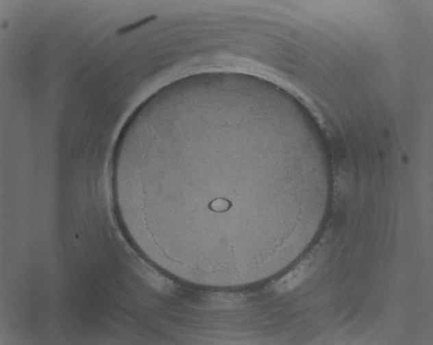 X0000051241514200506241508