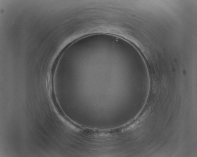 X0000051241515200506241508