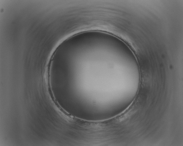 X0000051241516200506241508