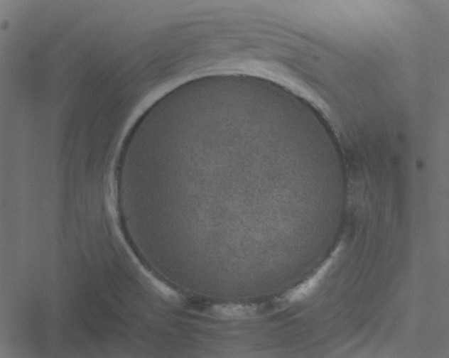 X0000051241517200506241508