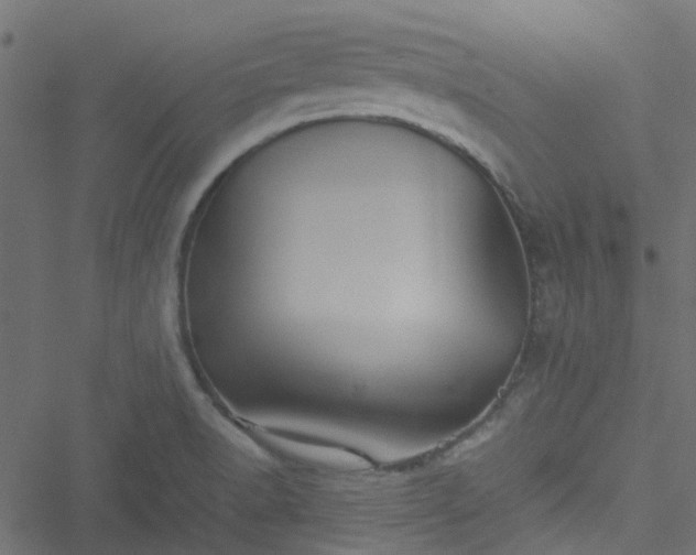 X0000051241518200506241508