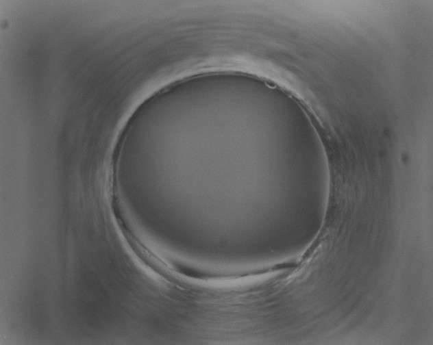 X0000051241519200506241508