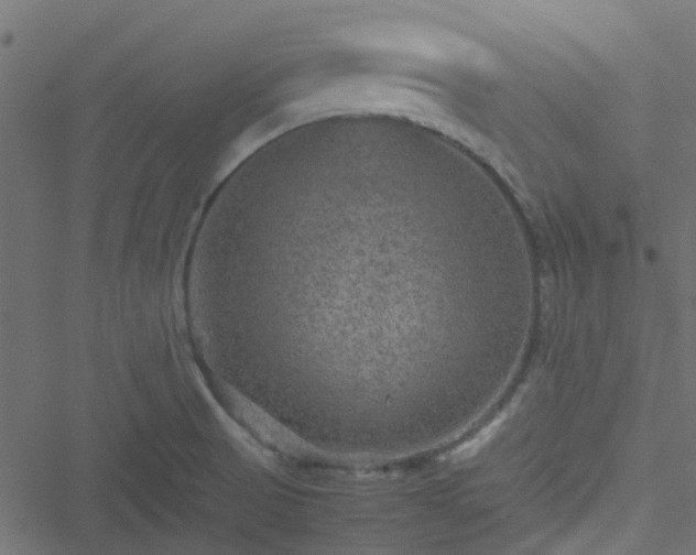 X0000051241521200506241508