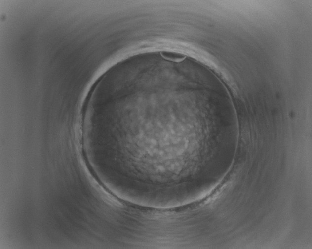 X0000051241522200506241508