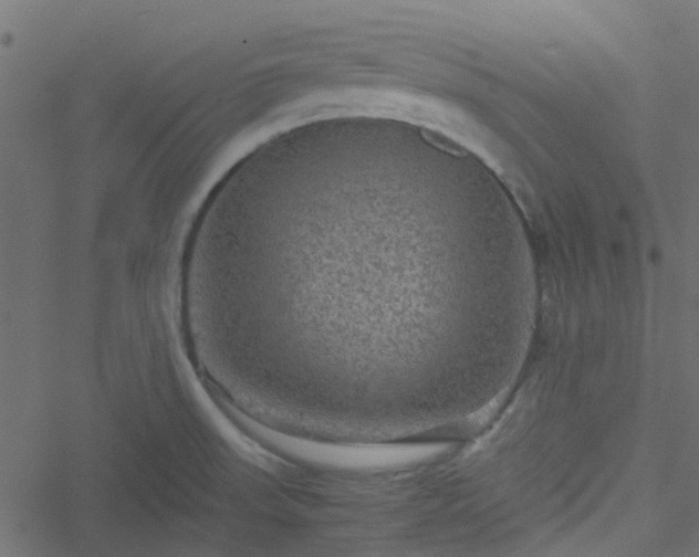 X0000051241523200506241508