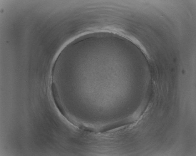 X0000051241524200506241508