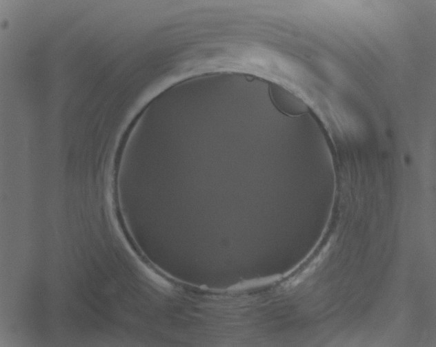 X0000051241525200506241508