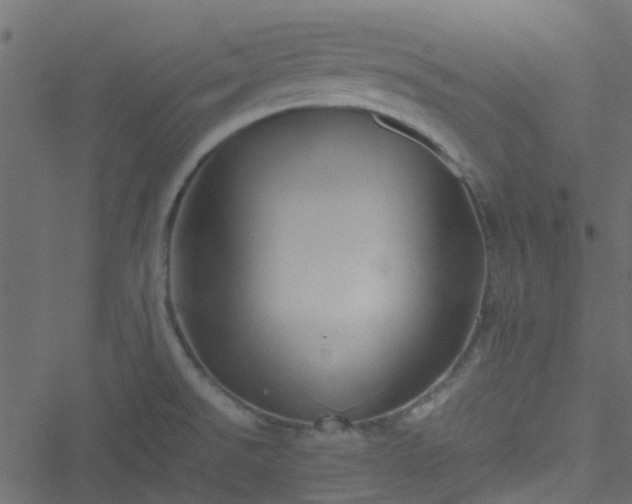 X0000051241526200506241508