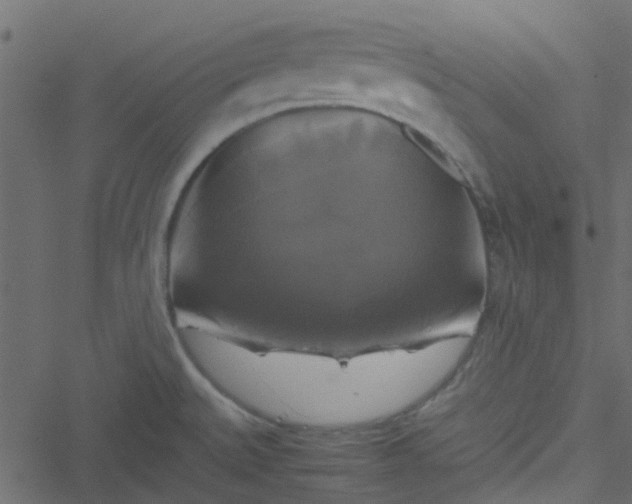 X0000051241527200506241508