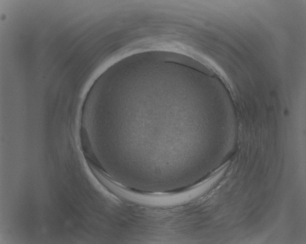 X0000051241528200506241508