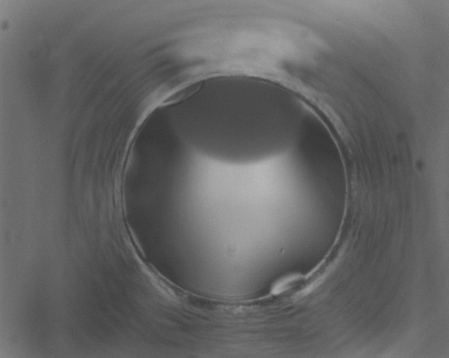 X0000051241529200506241508