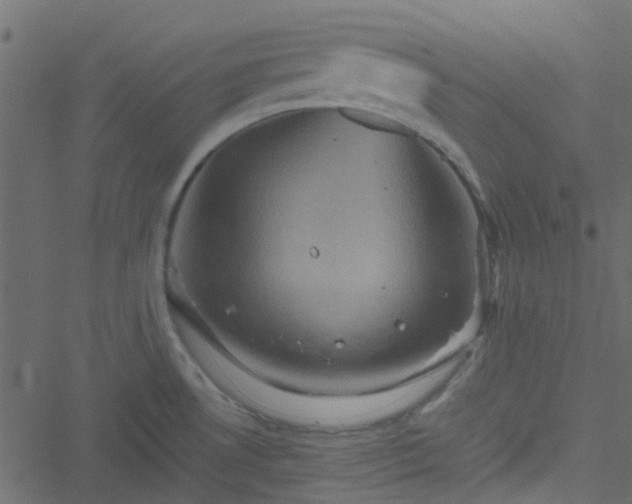 X0000051241530200506241508