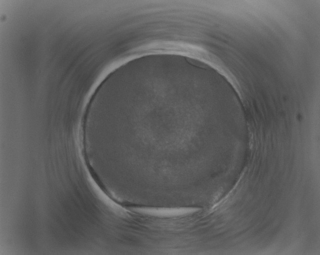 X0000051241531200506241508