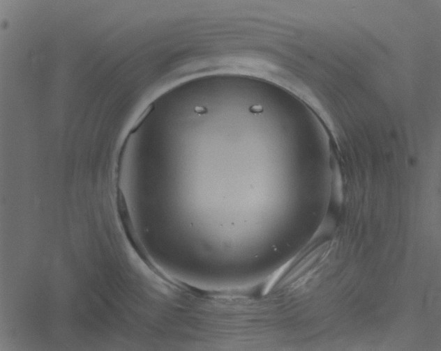 X0000051241532200506241508