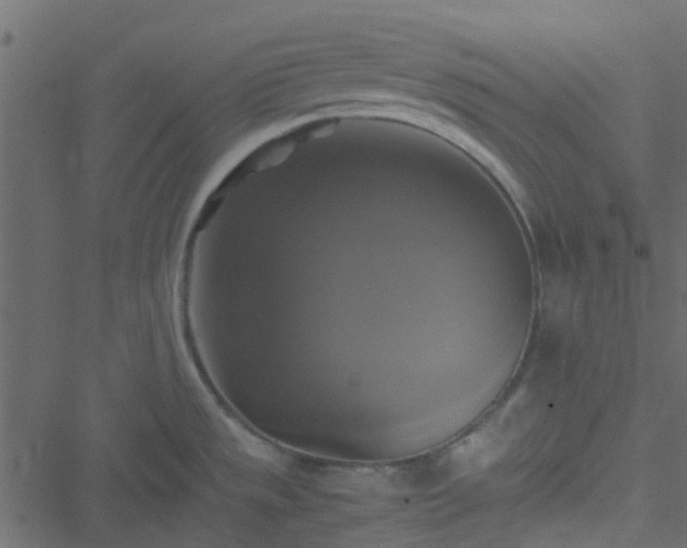 X0000051241533200506241509