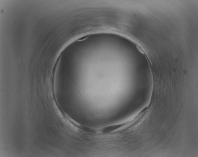 X0000051241534200506241509