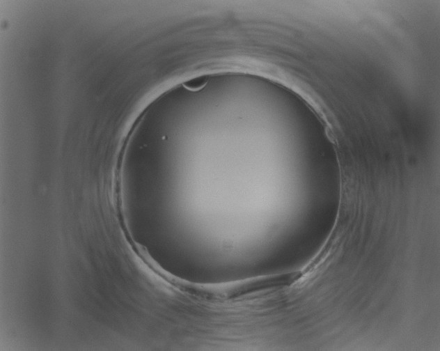 X0000051241535200506241509