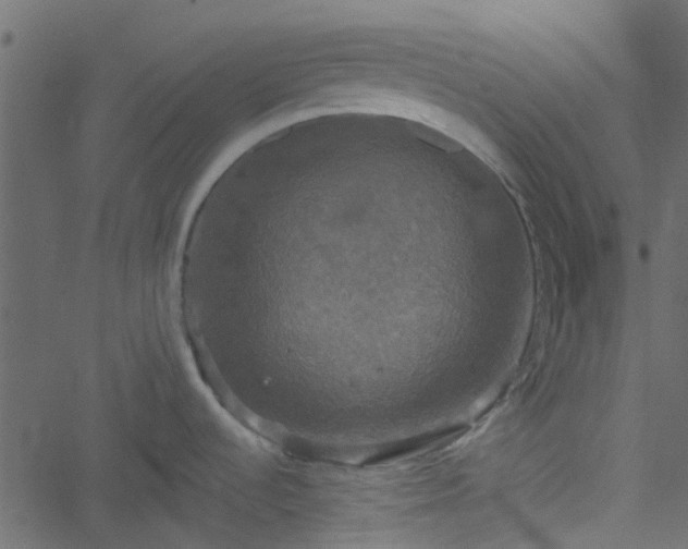 X0000051241536200506241509