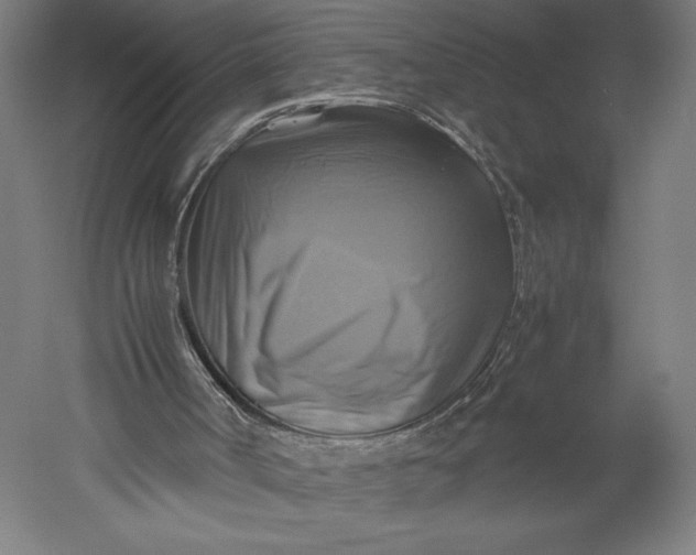 X0000051240002200507011638