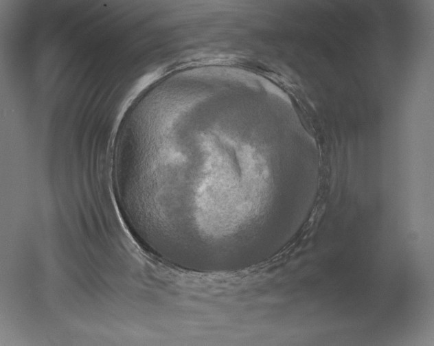 X0000051240003200507011638