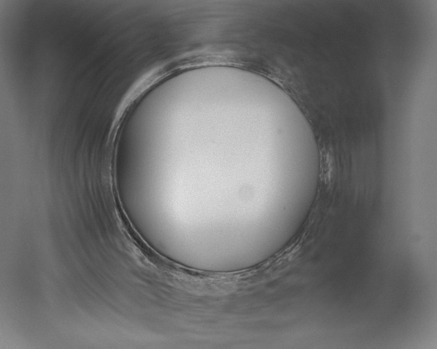 X0000051240004200507011638