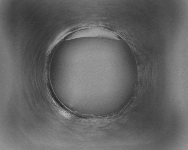 X0000051240005200507011638