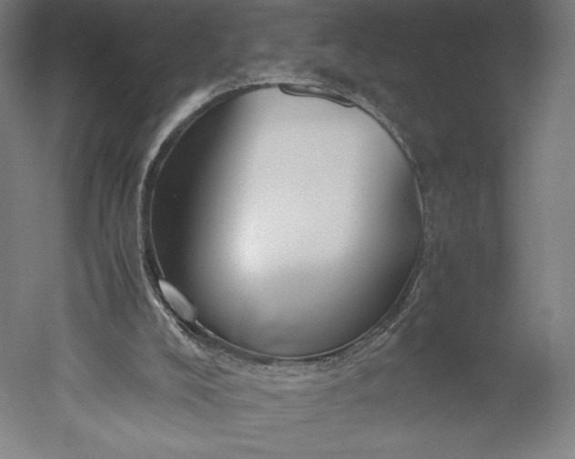 X0000051240008200507011638