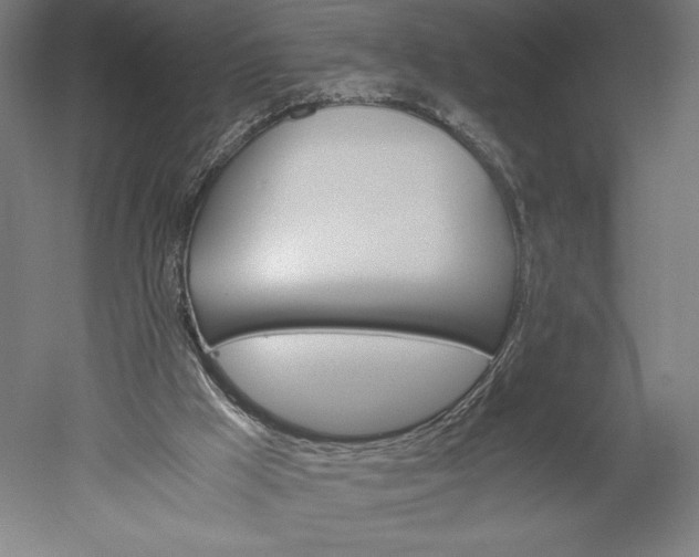 X0000051240009200507011638